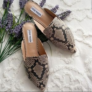 Steve Madden Mules